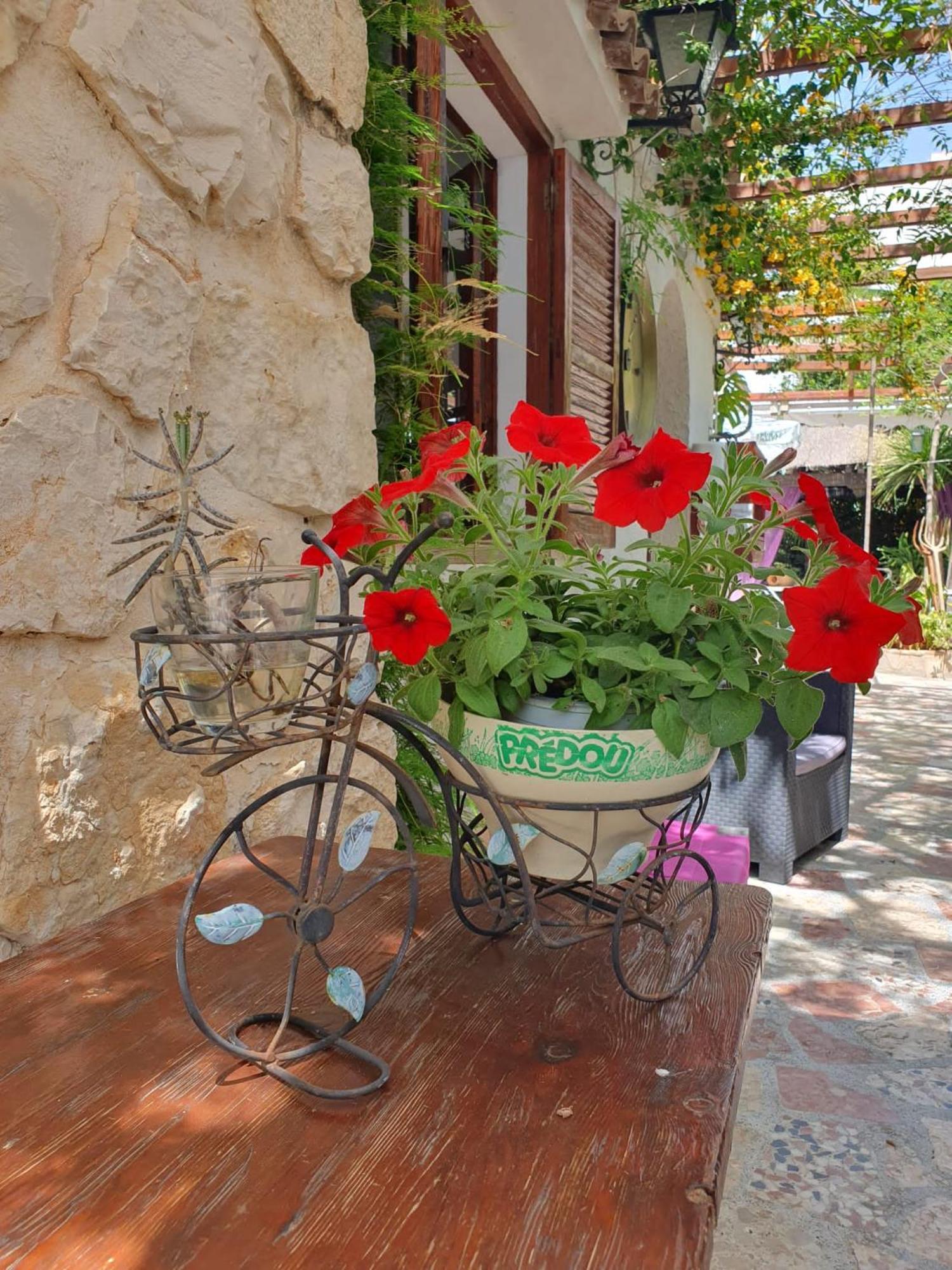 Hostal Mi Campana Denia Bagian luar foto