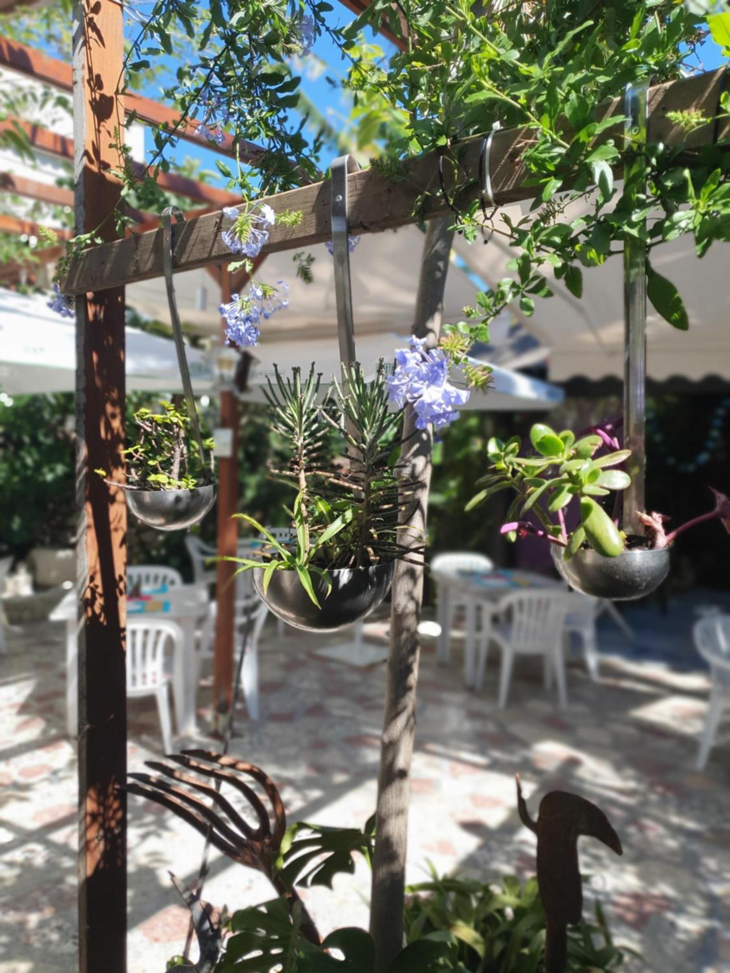 Hostal Mi Campana Denia Bagian luar foto